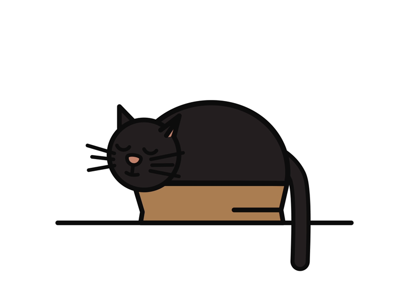 Cat sleeping