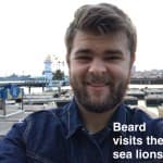 Sea Lions!